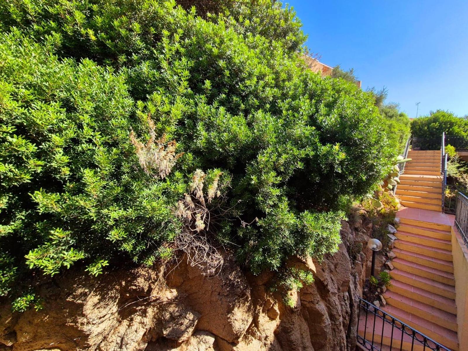 North Sardinia Retreats - Weber Appartamento Apartment *